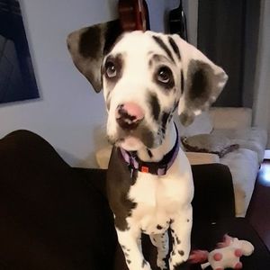 Meet your Posher, Jody